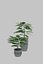 Potted Plant 3D