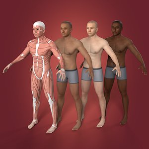 Muscle Anatomy and Man 3 Skin Textures -- With IK and FK Rig