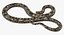 Brown Python Snake Attack Pose 3D Model