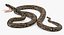 Brown Python Snake Attack Pose 3D Model