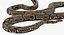 Brown Python Snake Attack Pose 3D Model