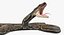 Brown Python Snake Attack Pose 3D Model