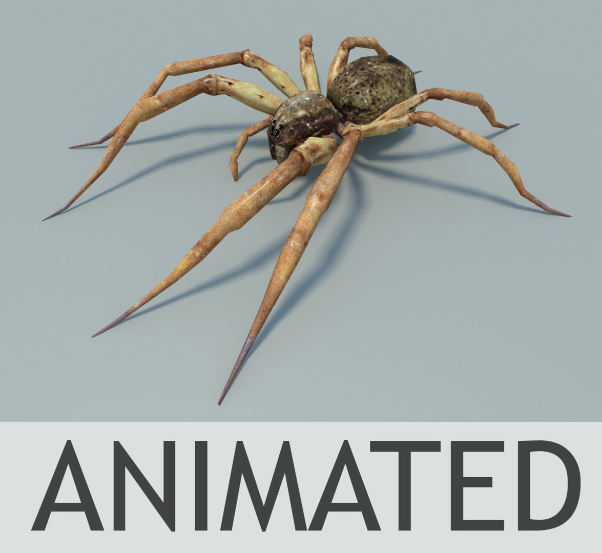 max fishing spider animation https://p.turbosquid.com/ts-thumb/uR/UbWypd/VGWa1459/spiderscreen3/jpg/1414143587/1920x1080/fit_q87/3e6114d886de343181b24cbfb68abbbe6d92c8a1/spiderscreen3.jpg