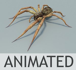 spider low poly