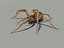 max fishing spider animation