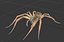 max fishing spider animation