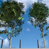 Arbol_Tree_001