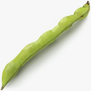 Broad Bean Pod 01 - 3D Scanned