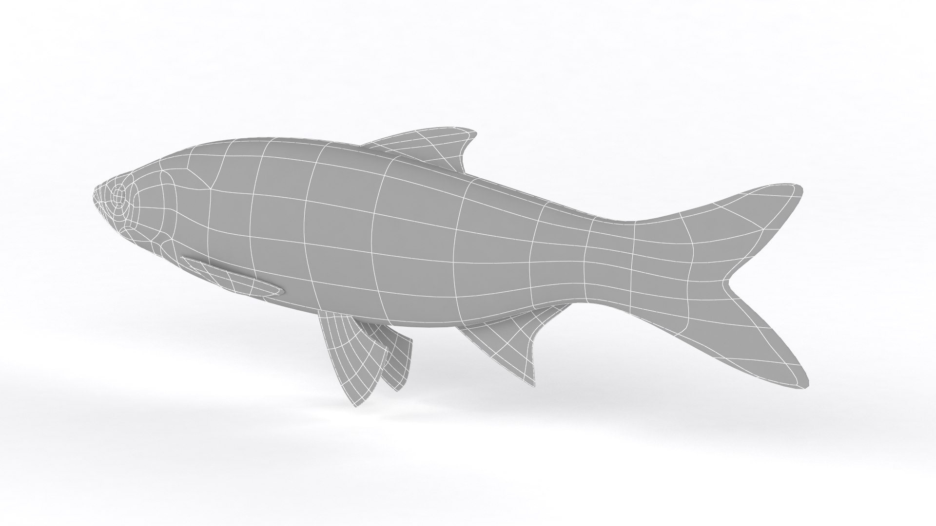 3D Model Asp Fish - TurboSquid 1779666