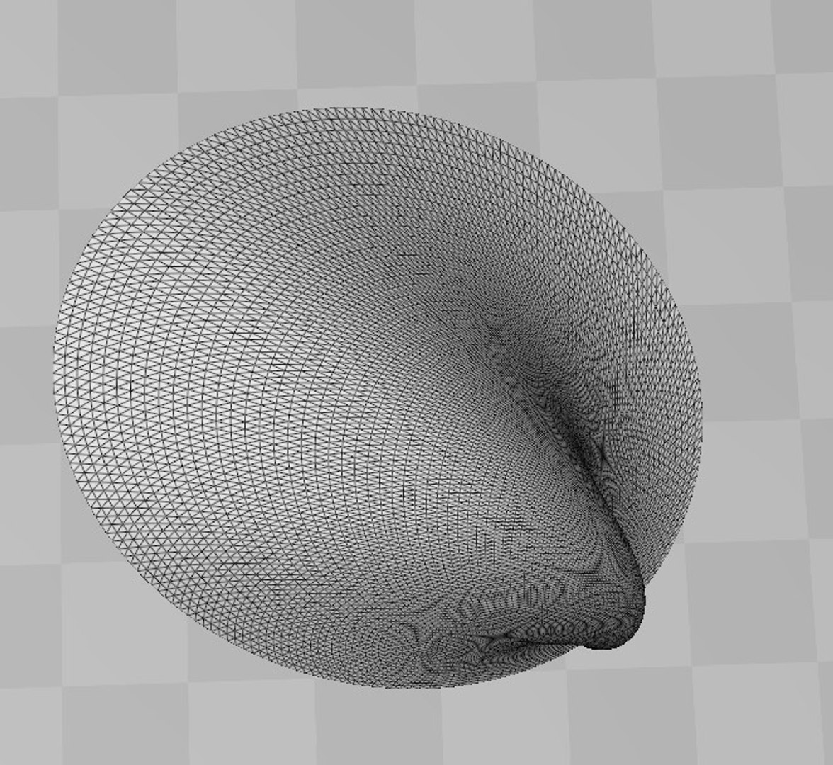 Free Fool Cap Shell 3D Model - TurboSquid 1342895