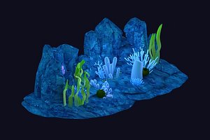 seagrass corals underwater rocks underwater plants aquatic