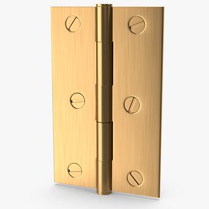 Golden Hinge With Screwhead