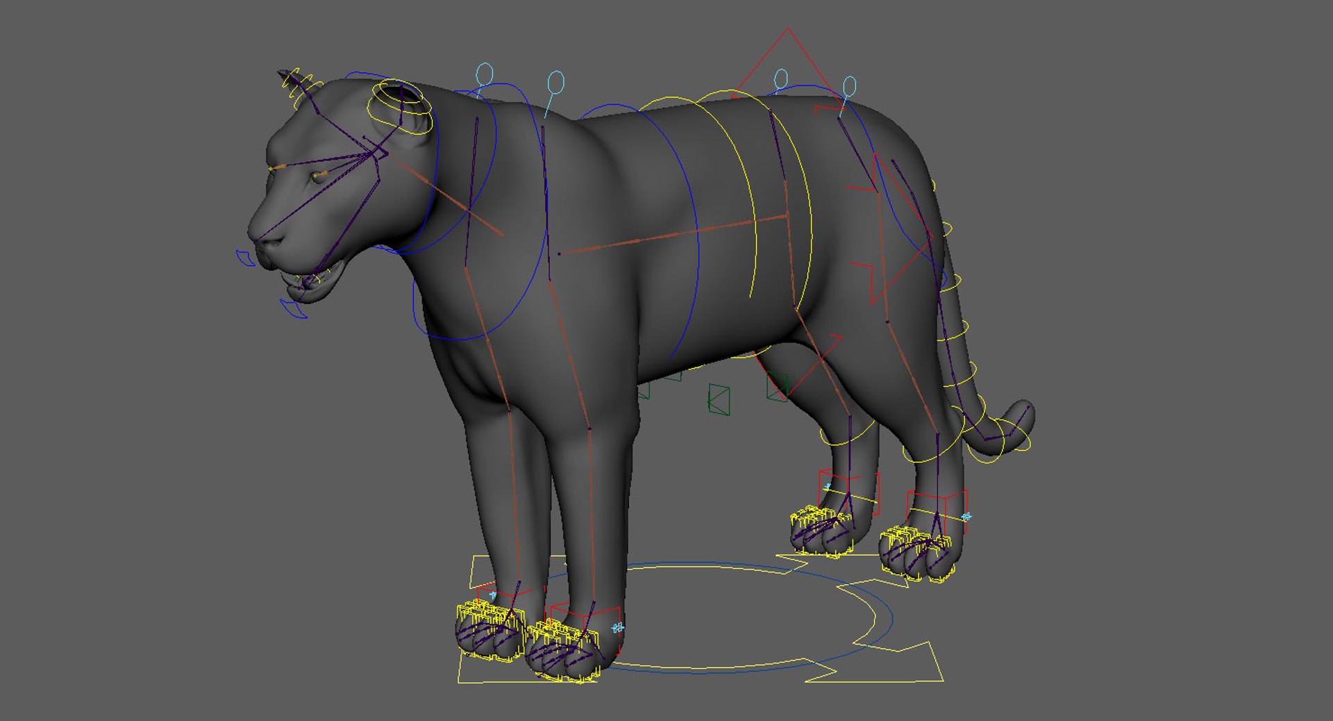 Tiger Rigged Fur Model - TurboSquid 1396777
