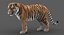 tiger rigged fur model
