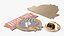NASCAR Fan Pins Collection