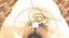 Desktop Lamp with Lamp Shade