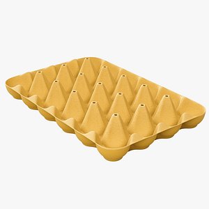 Egg Tray Carton Two Dozen 3D