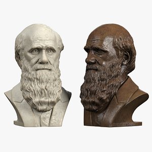 3ds max decorative bust darwin