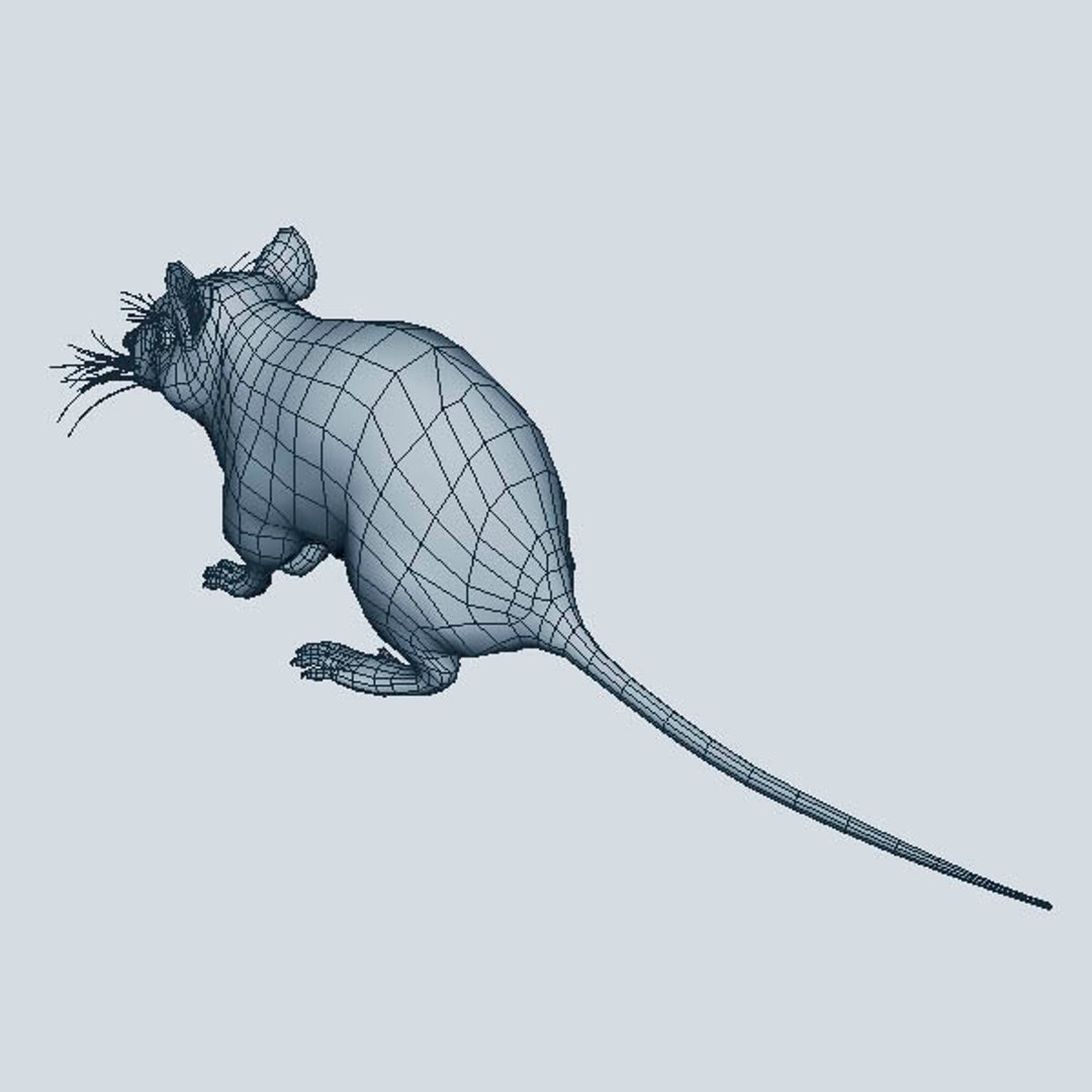White Mouse Max