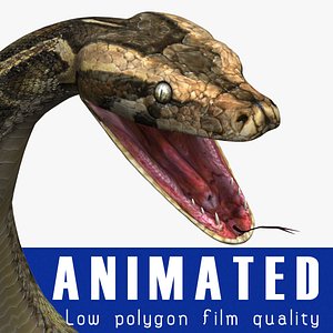 Python