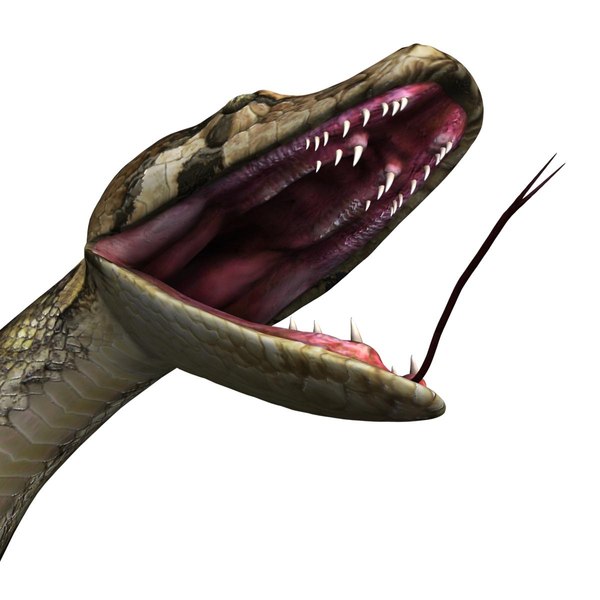 3ds max reptile snake python