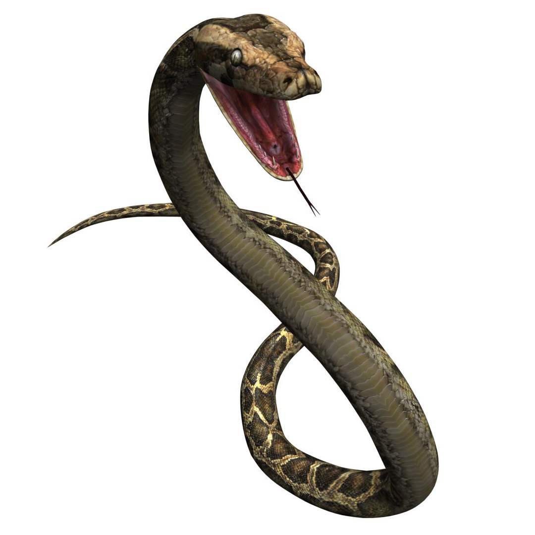 3ds max reptile snake python
