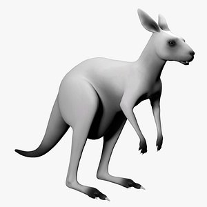 roo kangaroo 3D