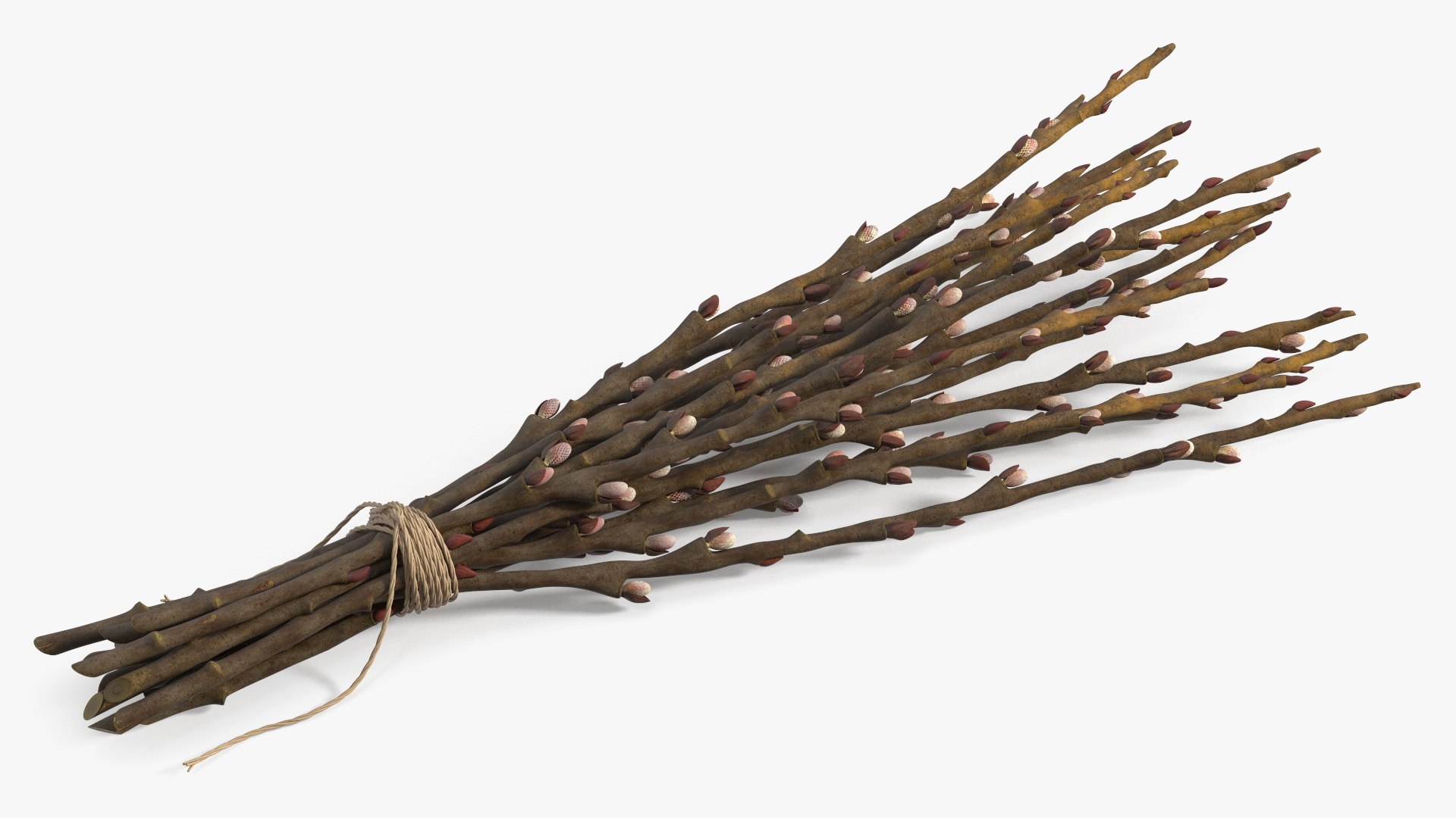 Sheaf of Willow Branches Fresh 3D model preview