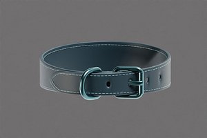 Dog Collar