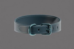 Dog Collar