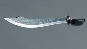 Shiny Silver Pirate Cutlass