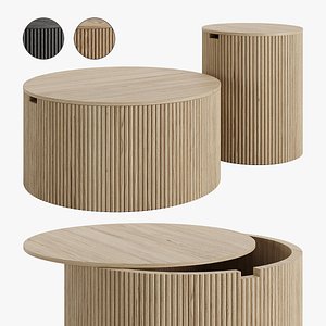 3D Modern Round Wood Coffee Table Set by Homary model