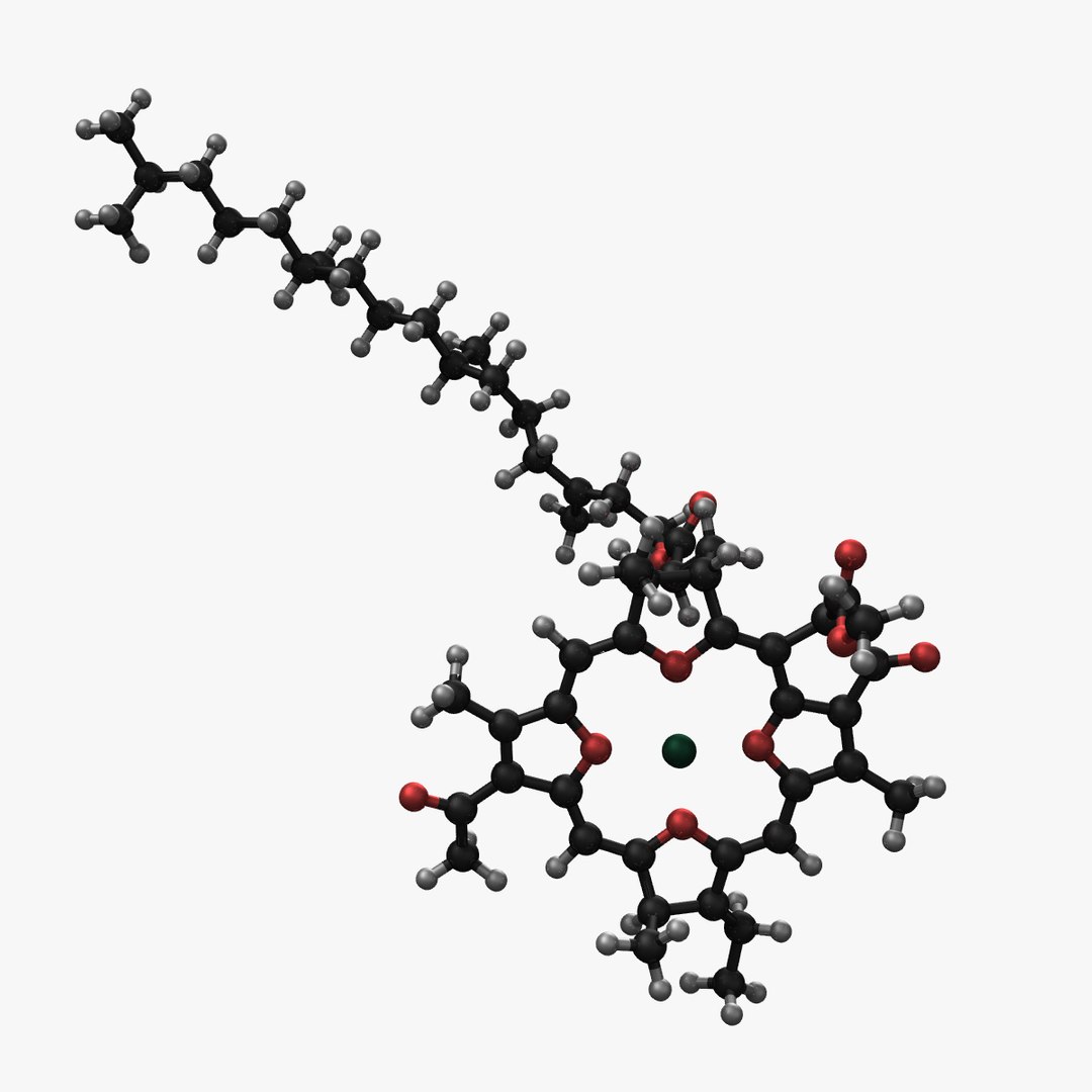 structure chlorophyll lwo https://p.turbosquid.com/ts-thumb/uS/ch0c58/g0FzugzX/chlorophyllrender3/png/1379081188/1920x1080/fit_q87/f5e18e904e9b103774bb80343290ed4a87ae70ab/chlorophyllrender3.jpg