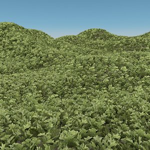 3D leavs