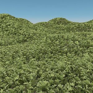Complex Grass