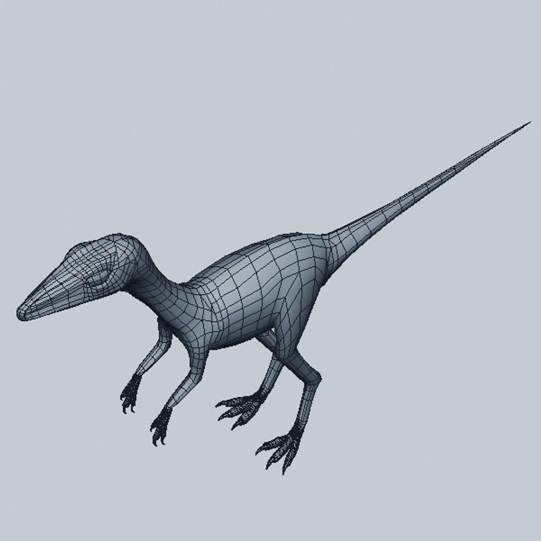 max troodon formosus https://p.turbosquid.com/ts-thumb/uS/nwaQOJ/KQRNEQzT/t7/jpg/1297680854/1920x1080/fit_q87/4dbb66804f46c5c20baa885dbc83f3aaab86203a/t7.jpg