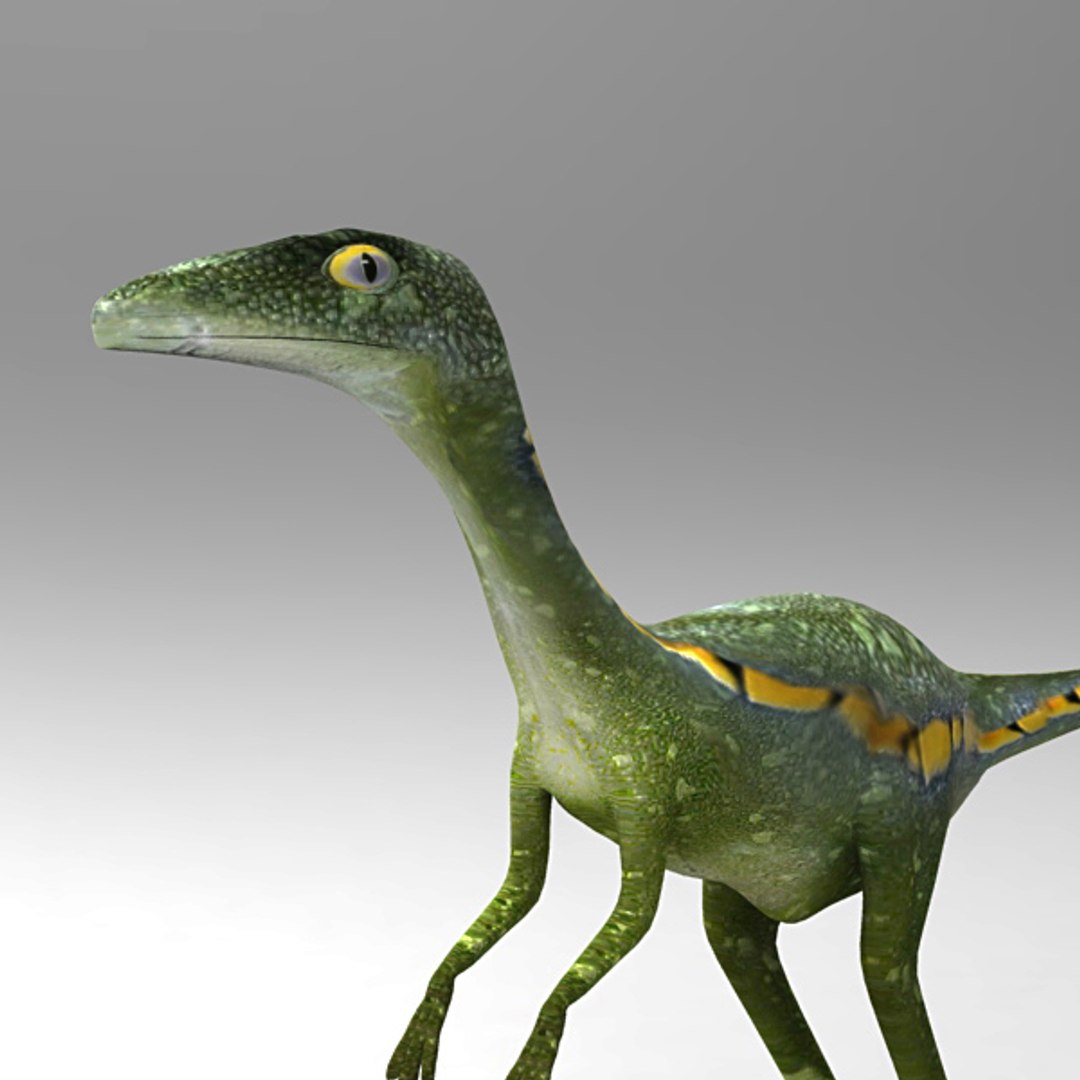 max troodon formosus https://p.turbosquid.com/ts-thumb/uS/nwaQOJ/SPnQoioa/t3/jpg/1297680837/1920x1080/fit_q87/c02d14fceca7f8d7ddd7bd9a248738c75886c435/t3.jpg