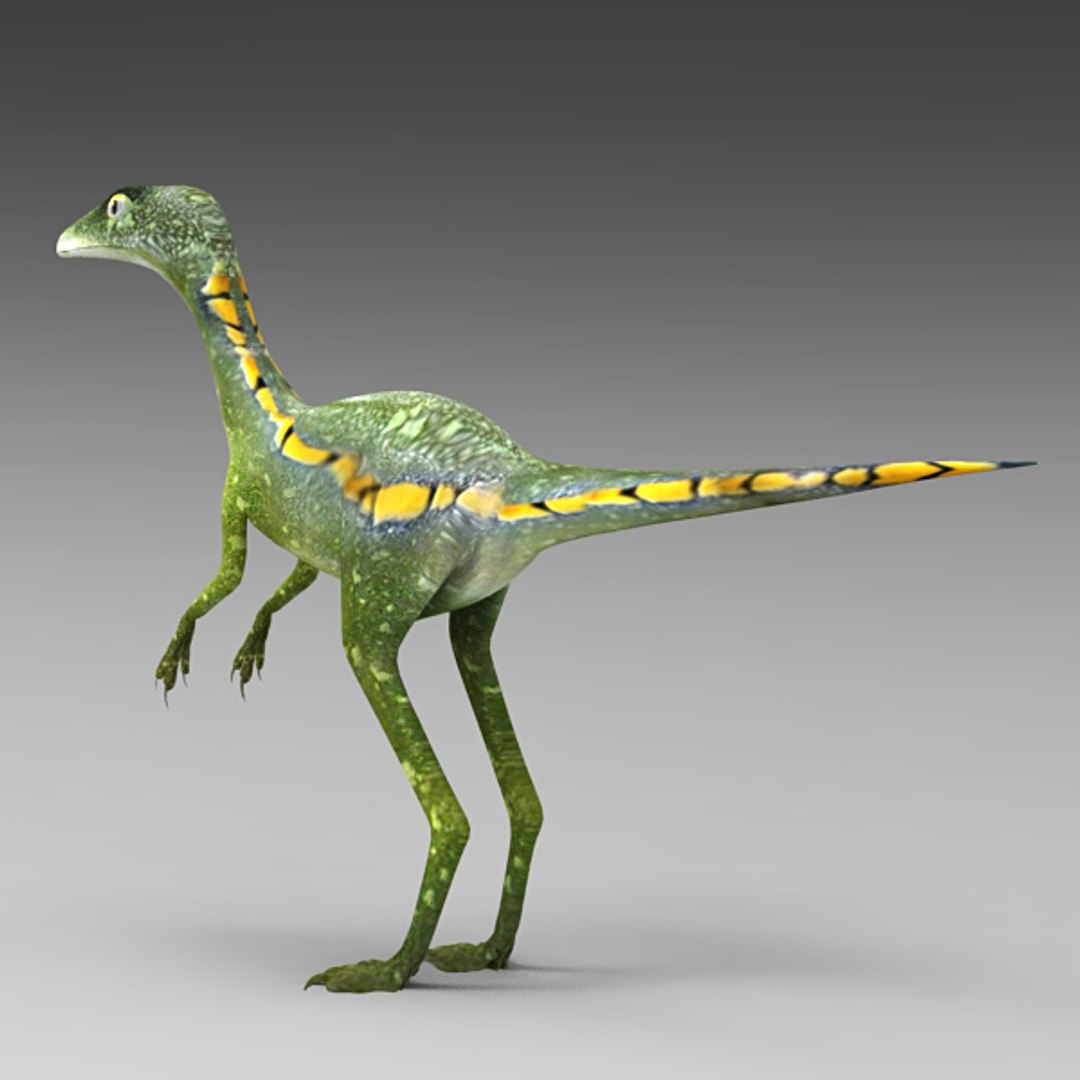 max troodon formosus https://p.turbosquid.com/ts-thumb/uS/nwaQOJ/ryzpoUsh/t4/jpg/1297680840/1920x1080/fit_q87/6d287cb50ad66eb80652bb4be88454c6a2af1295/t4.jpg