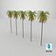3D Palm 01
