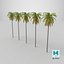 3D Palm 01