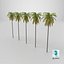 3D Palm 01