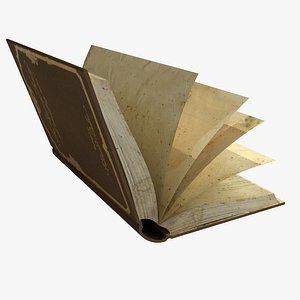 Rig  Book Old Mod 01