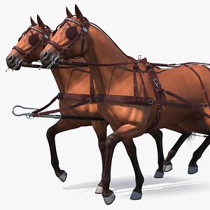 Pair of Breast Collar Harness Walking Pose 3D