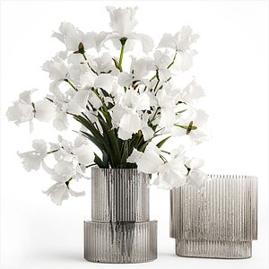 Realistic bouquet of white Iris flowers in a glass vase 365 3D model