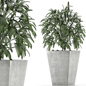 single plant 05 3D model