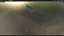 Golf Flag PBR 2