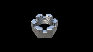 castellated nuts model
