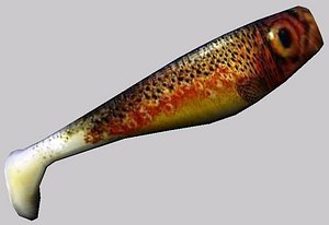 Dull Shad