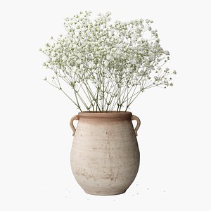 3D Bouquet of Gypsophila in a clay pot model