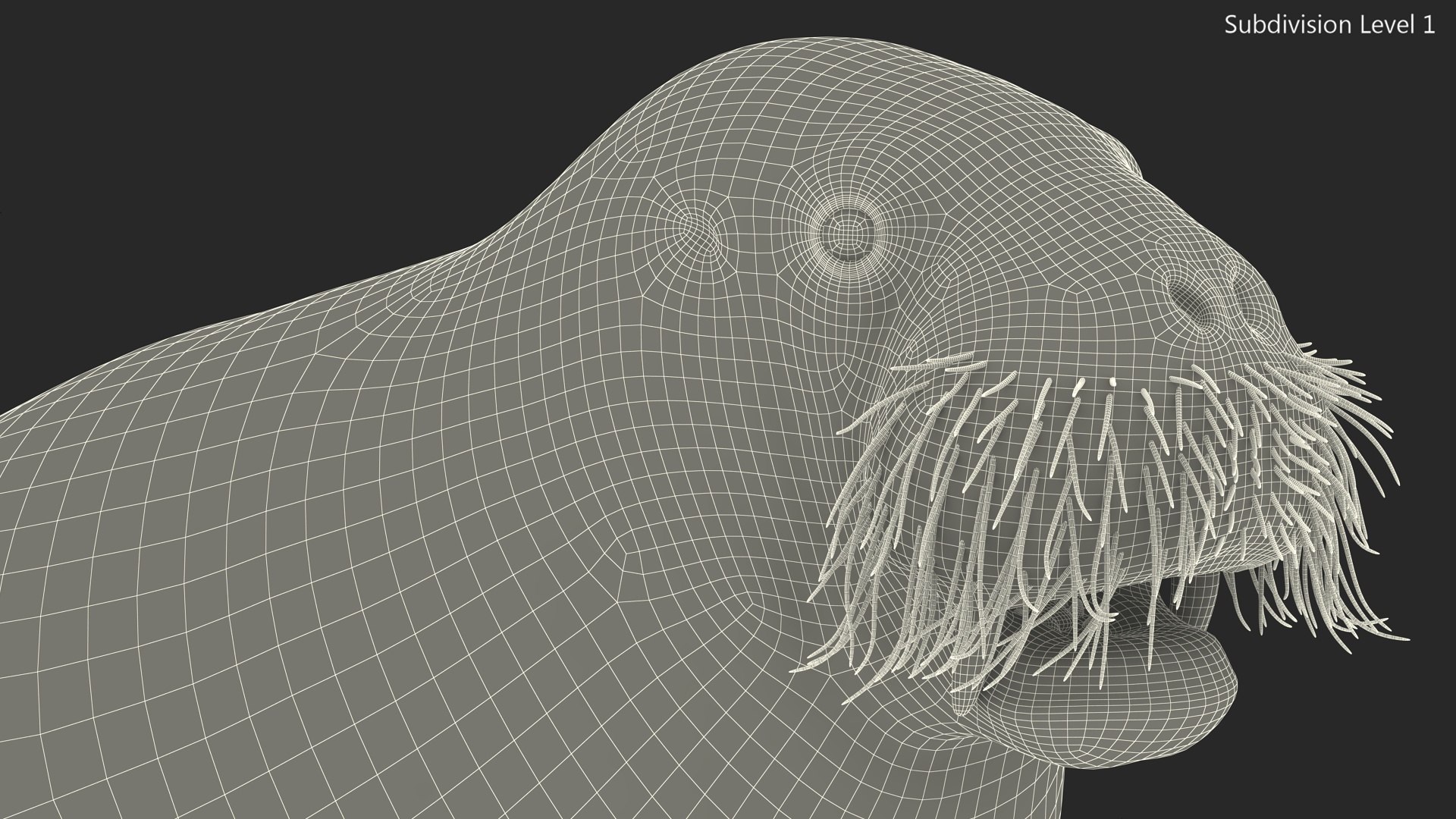 Young Walrus Rigged For Maya Model - TurboSquid 2425644